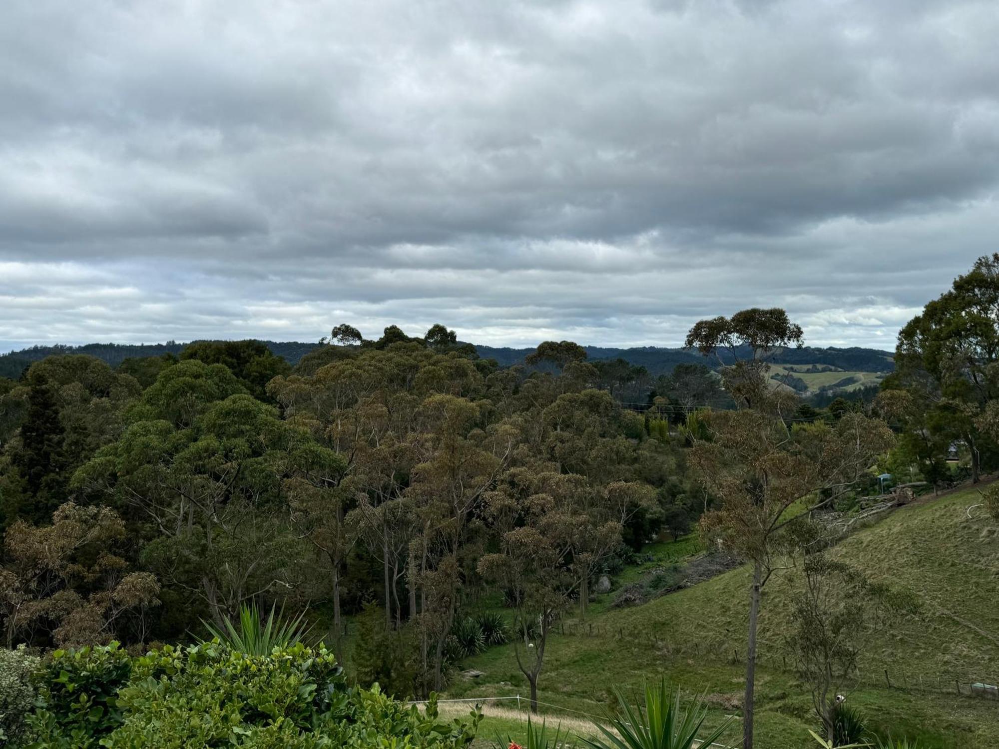Private Cabin Close To The City Centre Whangarei Exterior photo