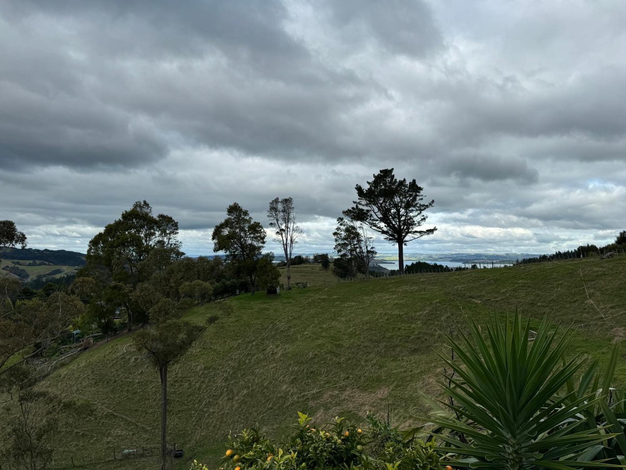 Private Cabin Close To The City Centre Whangarei Exterior photo