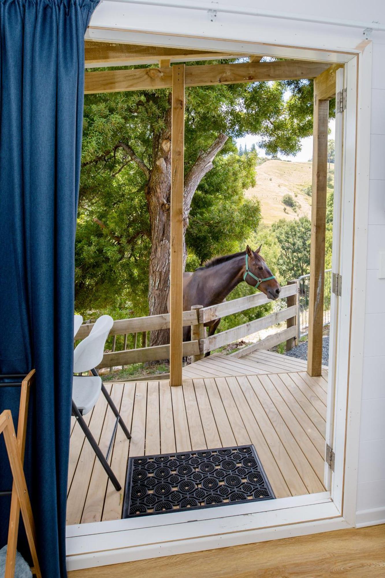 Private Cabin Close To The City Centre Whangarei Exterior photo