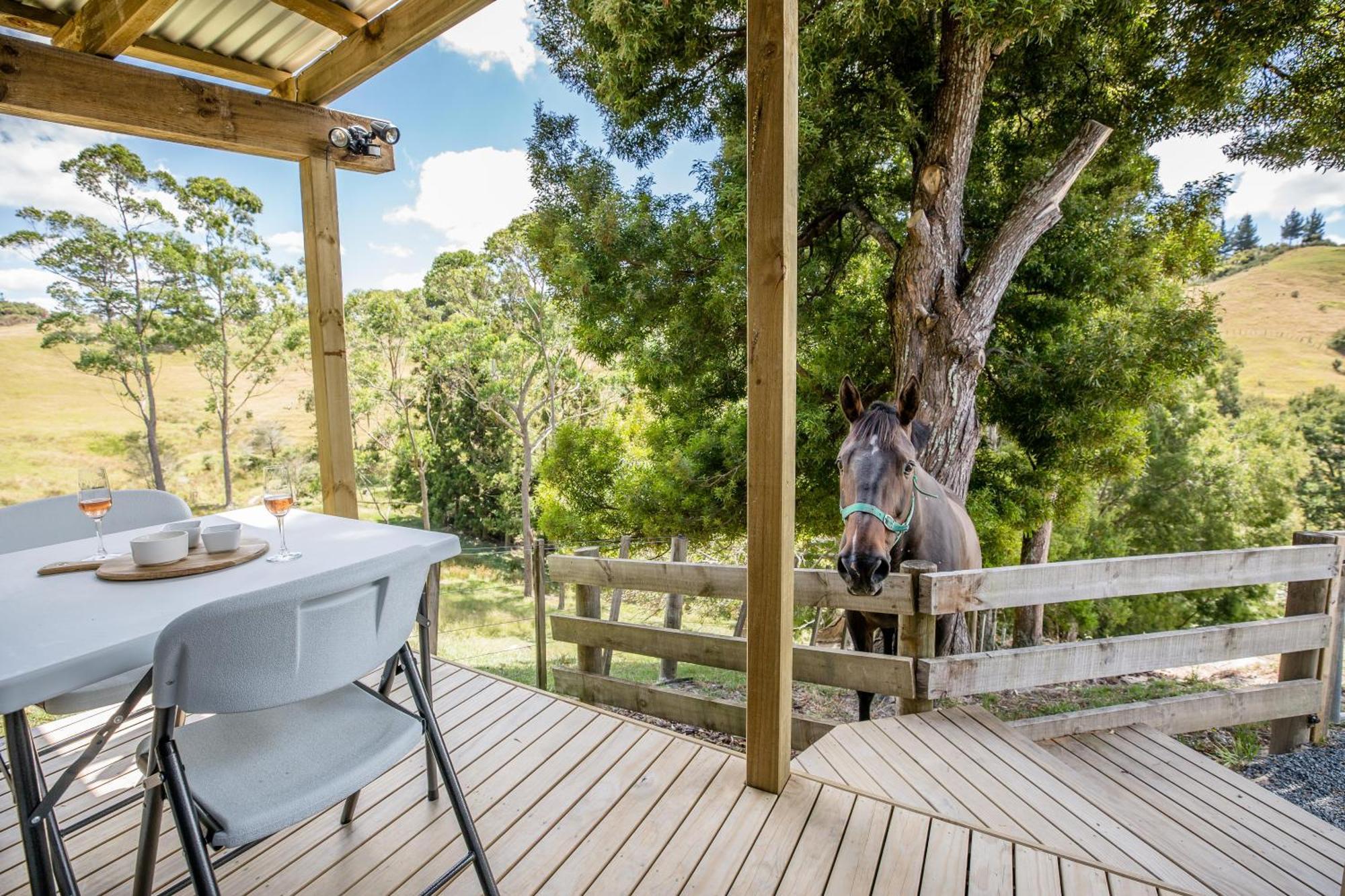 Private Cabin Close To The City Centre Whangarei Exterior photo